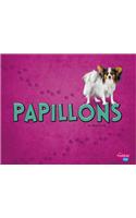 Papillons