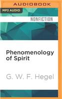 Phenomenology of Spirit