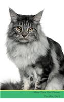 Maine Coon Cat Presents: Cat Facts Workbook. Maine Coon Cat Presents Cat Facts Workbook with Self Therapy, Journalling, Productivity Tracker with Self Therapy, Journalling, 