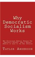 Why Democratic Socialism Works: Why Socializing America Through the Democratic Process Won(English)