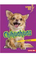 Chihuahuas: (Lightning Bolt Books — Who's a Good Dog?)