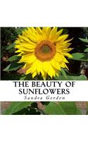 Beauty of Sunflowers