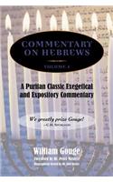 Commentary on Hebrews