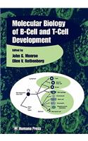 Molecular Biology of B-Cell and T-Cell Development