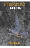 Peregrine falcon journal &Notebook 6