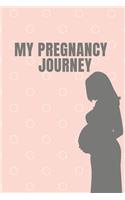 My Pregnancy Journey
