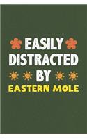 Easily Distracted By Eastern Mole