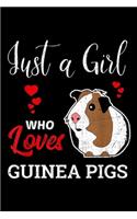 Just a Girl Who Loves Guinea Pigs