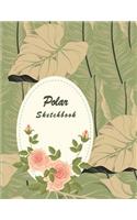 Polar Sketchbook