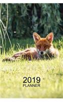 Fox Planner: 2019: Organizer and Notebook: Sunbathing Fox