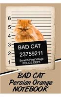 Bad Cat Persian Orange Notebook