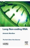 Long Non-Coding RNA