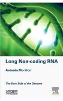 Long Non-Coding RNA: The Dark Side of the Genome
