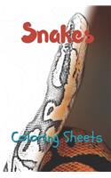 Snake Coloring Sheets: 30 Snake Drawings, Coloring Sheets Adults Relaxation, Coloring Book for Kids, for Girls, Volume 8