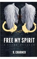 Free My Spirit: I Stand Accused