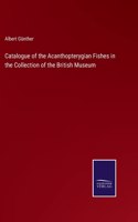 Catalogue of the Acanthopterygian Fishes in the Collection of the British Museum