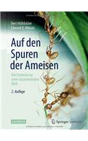 Auf Den Spuren Der Ameisen
