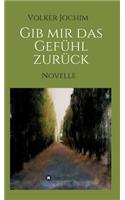 Gib mir das Gefühl zurück: Novelle