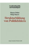 Strukturbildung Von Politikfeldern