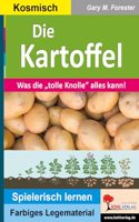 Kartoffel: Was die 
