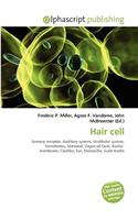 Hair Cell: (English)