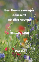 Les fleurs sauvages poussent où elles veulent