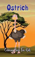 Ostrich Coloring Book for Kids