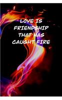 Love Is Friendship That Has Caught Fire