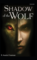 The Shadow of the Wolf Illustrate