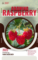 Raspberry