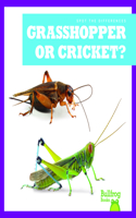 Grasshopper or Cricket?: (Spot the Differences)