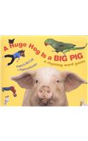 A Huge Hog Is a Big Pig: A Rhyming Word Game