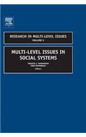 Multi-Level Issues in Social Systems