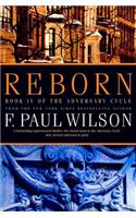 Reborn: Book IV of the Adversary Cycle