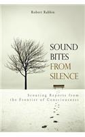Sound Bites from Silence: Scouting Reports from the Frontier of Consciousness