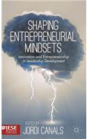 Shaping Entrepreneurial Mindsets