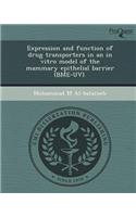 Expression and Function of Drug Transporters in an in Vitro Model of the Mammary Epithelial Barrier (Bme-UV)