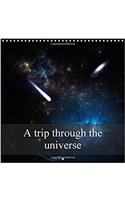 Trip Through the Universe 2017