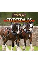 Clydesdales
