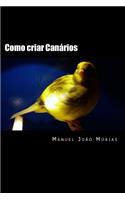 Como criar Canários