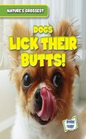 Dogs Lick Their Butts!