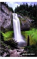 Amazon Rain Forest