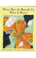 Where Does the Butterfly Go When It Rains?