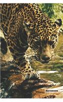 Leopard Notebook