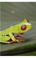 Tiny Red Eyed Tree Frog Journal: Take Notes, Write Down Memories in this 150 Page Lined Journal