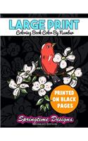 Large Print Adult Coloring Book Color By Number