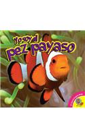 El Pez Payaso