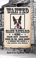 Boston Terrier Dog Wanted Poster