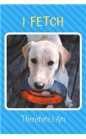 I Fetch Therefore I Am