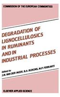 Degradation of Lignocellulosics in Ruminants and in Industrial Processes
